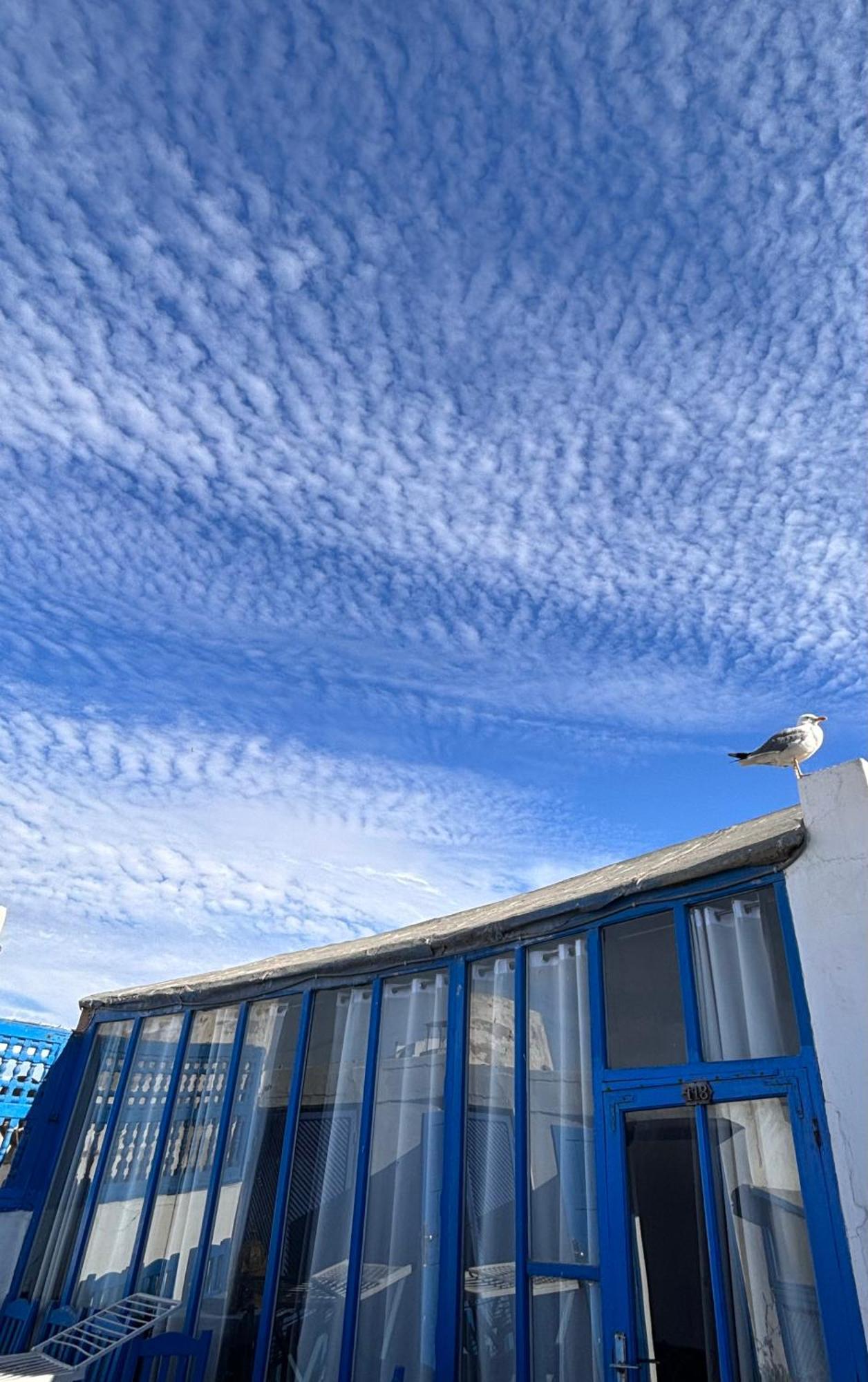 Wave Mogador Hotel Essaouira Exterior photo